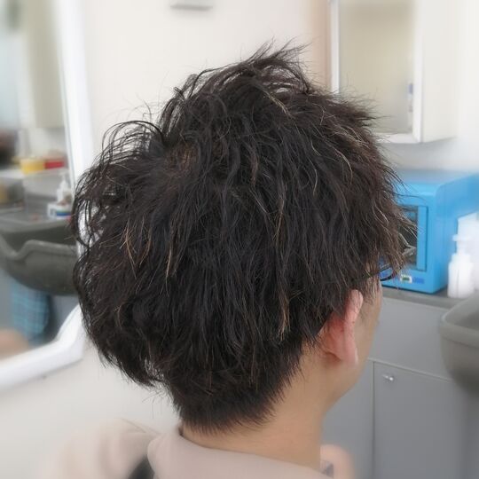 カットやヘアセットの実例などを掲載