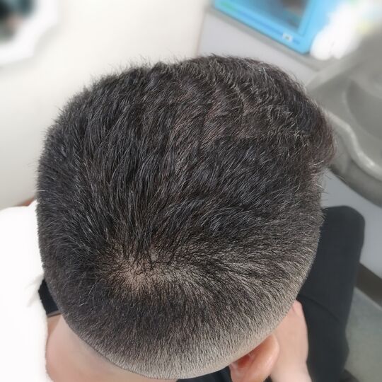 カットやヘアセットの実例などを掲載