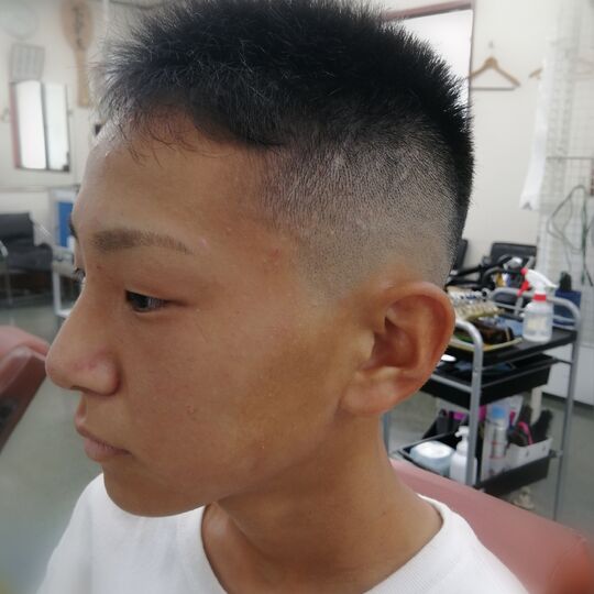 カットやヘアセットの実例などを掲載